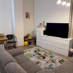 Rent 2 bedroom apartment of 55 m² in Brno