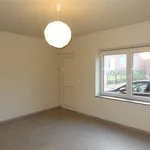 Rent 3 bedroom house in Sint-Truiden