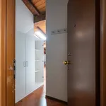 Rent 1 bedroom apartment of 45 m² in Bologna