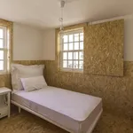 Alugar 4 quarto apartamento em Coimbra