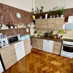 Rent 1 bedroom apartment in Děčín