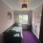 Rent 3 bedroom house in Belfast
