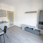 Rent 2 bedroom apartment of 65 m² in Domodossola