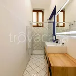 Rent 2 bedroom apartment of 55 m² in Firenze