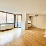 Rent 2 bedroom apartment of 118 m² in New York