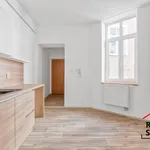 Pronajměte si 1 ložnic/e byt o rozloze 40 m² v Ostrava