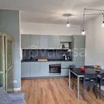 Rent 2 bedroom apartment of 60 m² in Torino