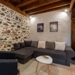 Rent 1 bedroom house of 65 m² in Argenton-sur-Creuse