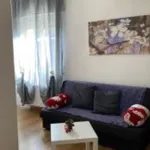 Affitto 2 camera appartamento di 45 m² in Spezzano della Sila