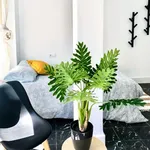 Rent 7 bedroom apartment in Valencia