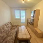 Rent 1 bedroom apartment in Nymburk