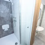 Pronajměte si 2 ložnic/e byt o rozloze 53 m² v Osek