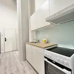 Pronajměte si 3 ložnic/e byt o rozloze 41 m² v Brno