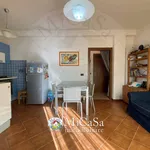 Rent 3 bedroom apartment of 65 m² in Pisa