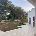 Rent 6 bedroom house of 110 m² in Monopoli