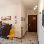 Rent 3 bedroom apartment in Milan