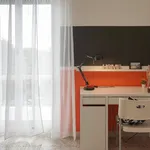 Rent 3 bedroom apartment in Naples