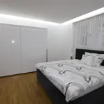 Rent 3 bedroom apartment of 100 m² in Prague