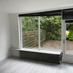 Rent 1 bedroom apartment of 17 m² in Groningen