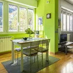 Rent 2 bedroom apartment of 50 m² in Como