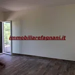 Rent 4 bedroom apartment of 126 m² in Velletri