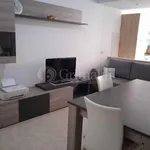 Rent 3 bedroom apartment of 80 m² in Roma