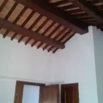 Rent 1 bedroom apartment of 35 m² in Vicenza