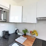 Rent 1 bedroom apartment of 28 m² in Prague