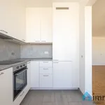 Rent 2 bedroom apartment of 90 m² in MERKSEM