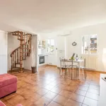 Rent 1 bedroom apartment in Florence