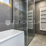 Rent 3 bedroom apartment of 150 m² in Zagreb