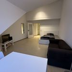 Rent 2 bedroom apartment of 50 m² in Magdeburg