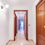 Rent 4 bedroom apartment in Seville