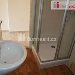 Rent 1 bedroom apartment in Liberec