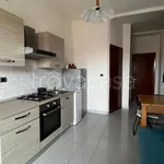 Rent 2 bedroom apartment of 50 m² in Torino