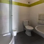 Rent 1 bedroom apartment in Brno