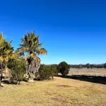 Rent 4 bedroom house in Mudgee