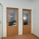 Rent 2 bedroom apartment of 53 m² in Brno