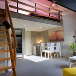 Rent 1 bedroom apartment in brussels