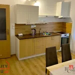 Rent 1 bedroom apartment in Hradec Králové