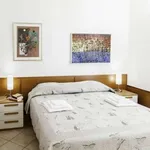 Rent 2 bedroom apartment of 67 m² in bologna