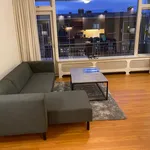 Huur 1 slaapkamer appartement van 55 m² in Den Haag