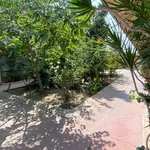 Rent 1 bedroom house of 39 m² in Long Beach