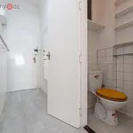 Rent 1 bedroom apartment of 326 m² in Praha