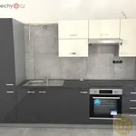 Rent 1 bedroom apartment of 23 m² in Tábor