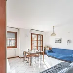 Rent 1 bedroom apartment in Bologna