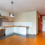 Rent 1 bedroom apartment in Antwerp