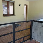 Rent 3 bedroom apartment of 99 m² in Garlate