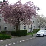 Rent 3 bedroom house of 55 m² in Dusseldorf