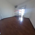 Rent 2 bedroom apartment of 40 m² in Torino